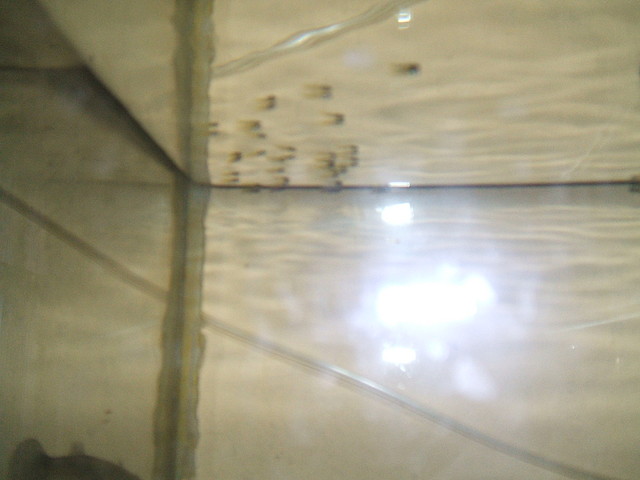 DSCF1608 DSCF1608