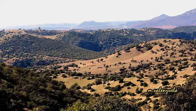 24, adis a la sierra, marca