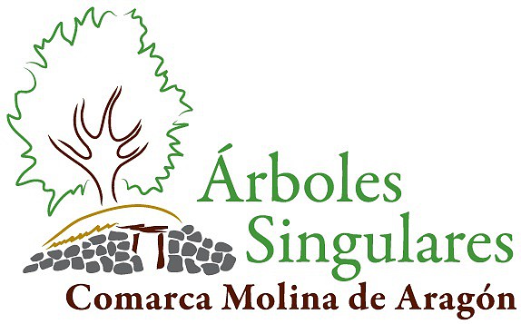 arboles_logo_rbg_logo