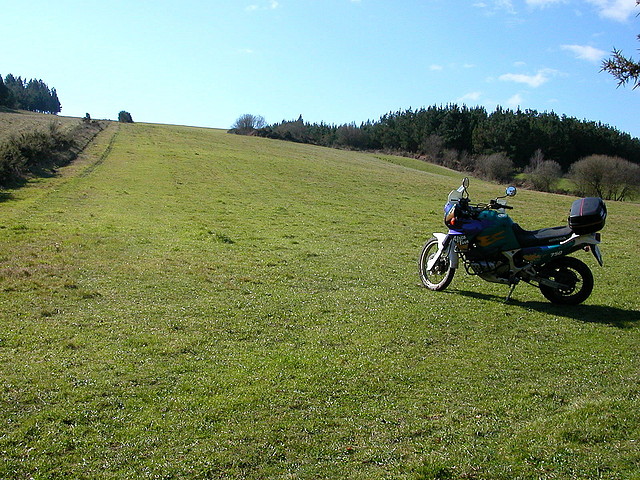 DSCN1545 DSCN1545