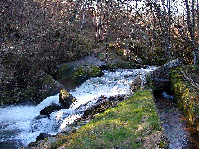 DSCN1493 DSCN1493