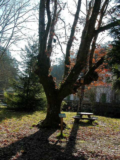DSCN1472 DSCN1472