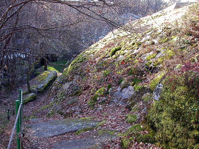 DSCN1482 DSCN1482