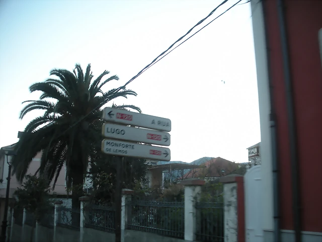 DSCN2443 DSCN2443