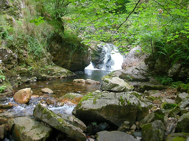 DSCN3771 DSCN3771