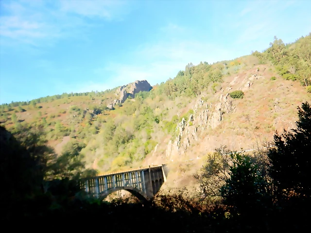 DSCN1445 DSCN1445