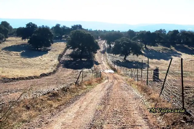 01, en la carnicera, marca (4)