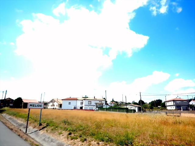 DSCN9040 DSCN9040