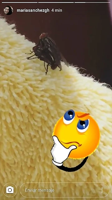 Video Mar?a IG Stories 10-8-2018 (1) Video Mar?a IG Stories 10-8-2018 (1)