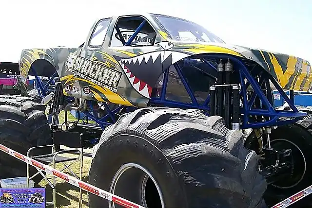 2010 59 Shocker real2