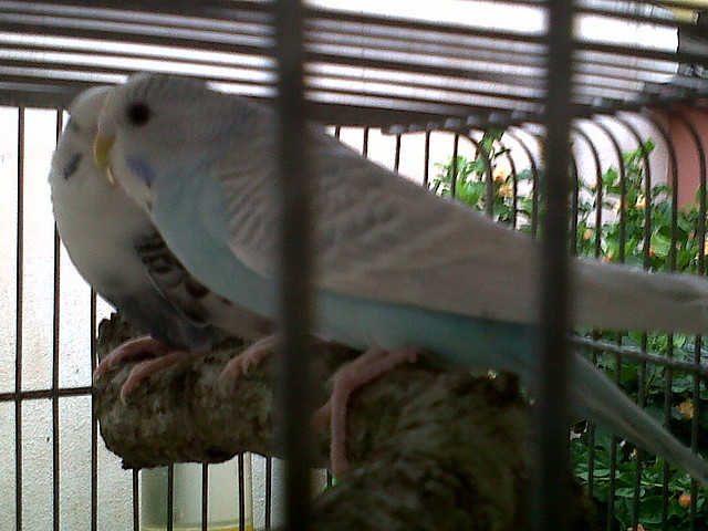 IMG00010-20101008-1621