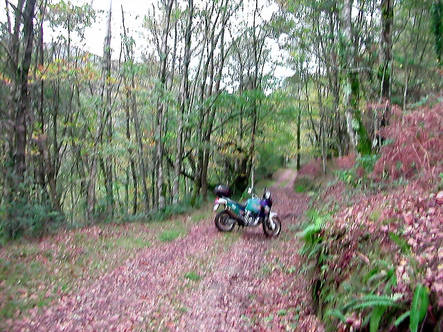 DSCN6286 DSCN6286