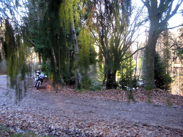 IMG_0476 IMG_0476