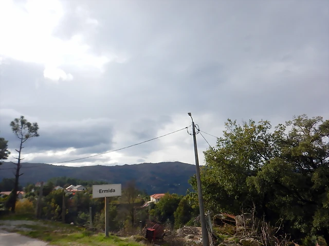 DSCN1917 DSCN1917