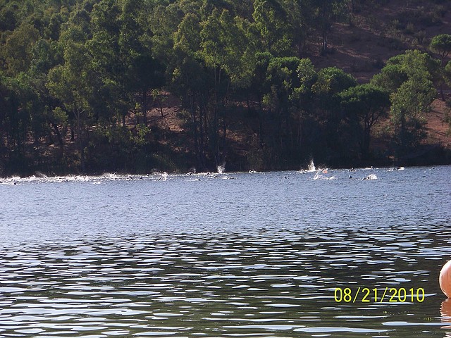 100_2723_3264x2448 100_2723_3264x2448