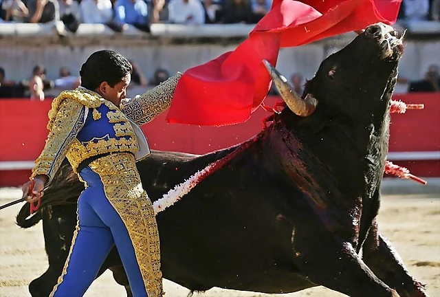 toreros38