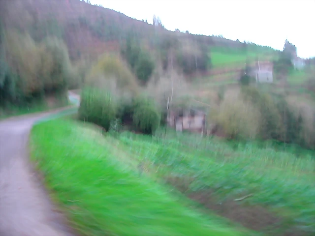 DSCN6323 DSCN6323