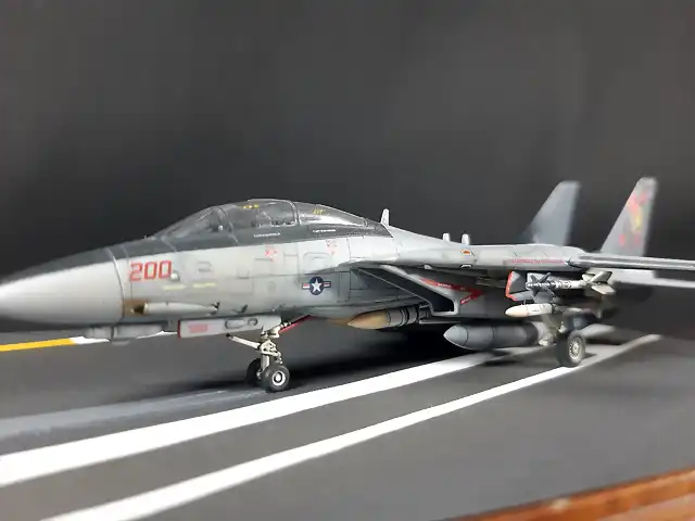 F-14Foto10