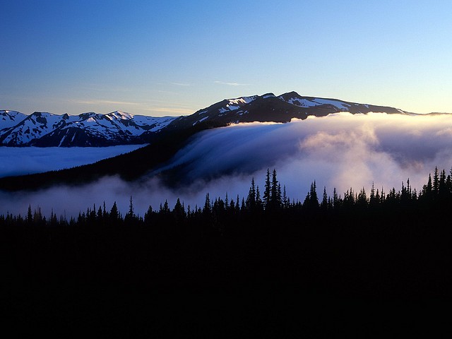 Fog and Olympic Mountains, Olympic National Park, Washington Fog and Olympic Mountains, Olympic National Park, Washington