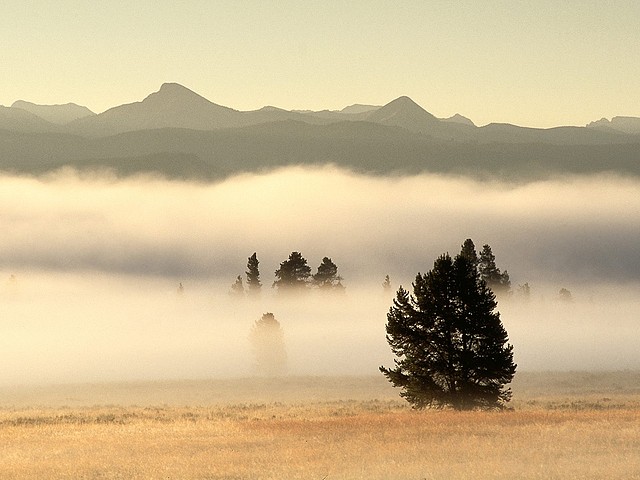 Fog at Sunrise, Pelican Valley, Yellowstone National Park, Wyoming Fog at Sunrise, Pelican Valley, Yellowstone National Park, Wyoming