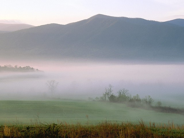 Foggy Sunrise, Cades Cove, Great Smoky Mountains, Tennessee Foggy Sunrise, Cades Cove, Great Smoky Mountains, Tennessee