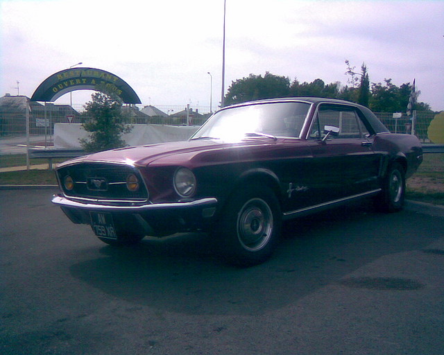 Mustang7 Mustang7