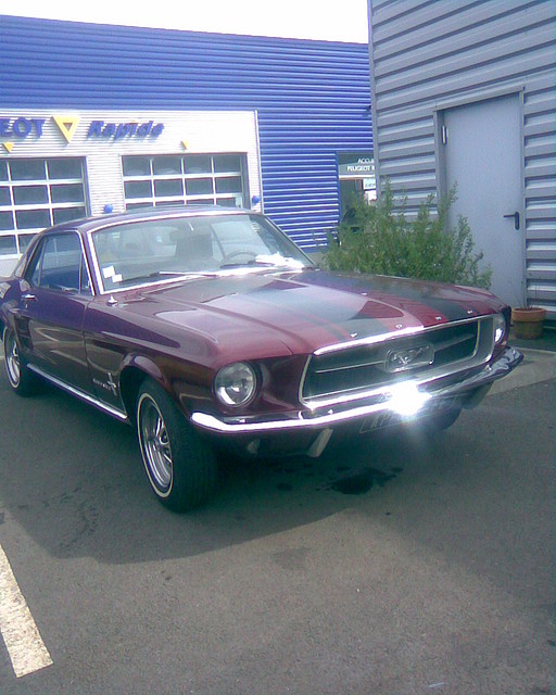 Mustang6 Mustang6