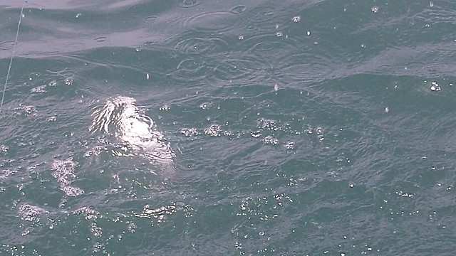 104_0751 104_0751