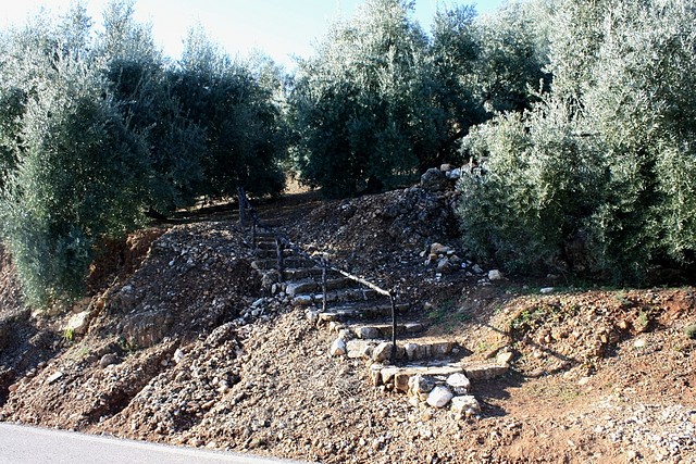 002, escaleras en el campo