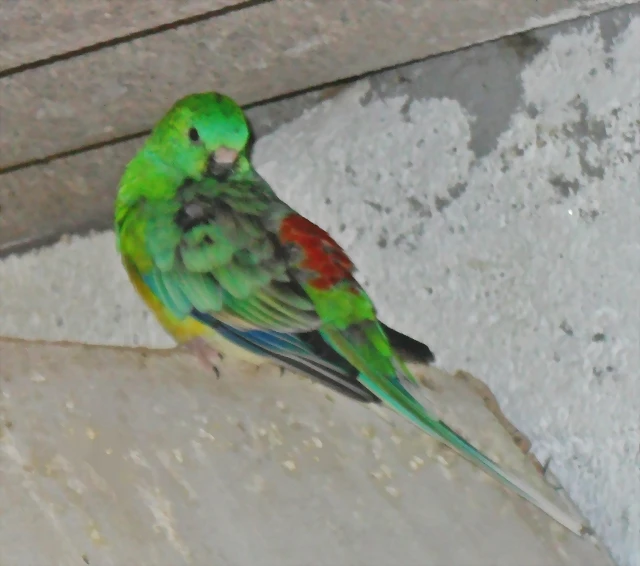 SAM_0843 SAM_0843