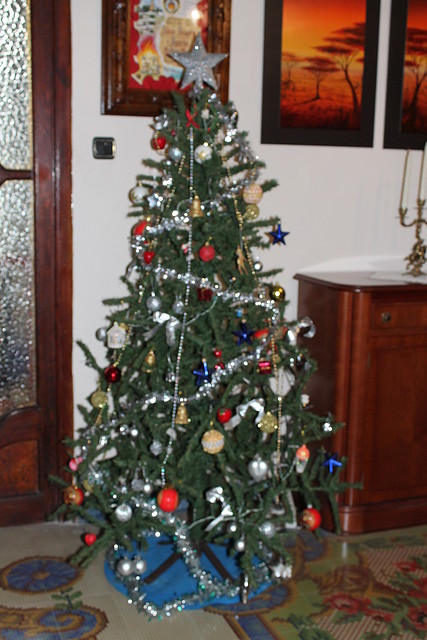 IMG_0367 IMG_0367