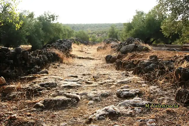 14, camino entre hormas, marca