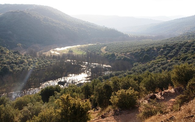 0008, rio guadalimar, pasado