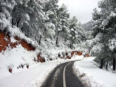 Mogolln de nieve