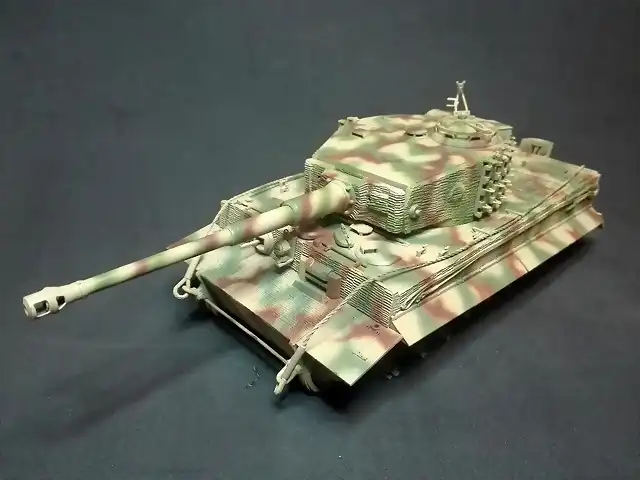 TIGER13