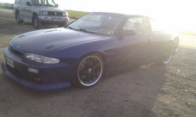IMAG0274 IMAG0274