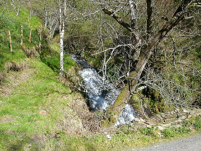 DSCN0315 DSCN0315