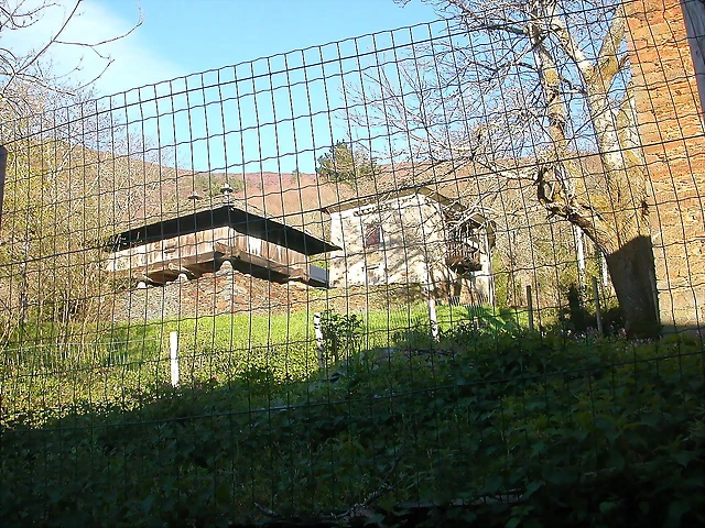 DSCN0447