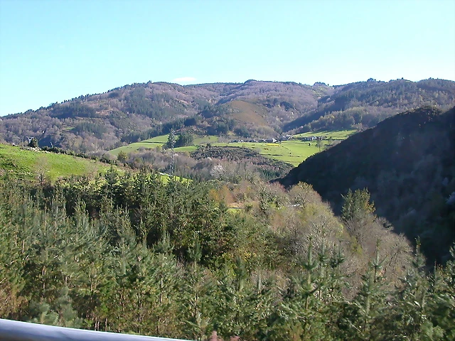 DSCN0318 DSCN0318
