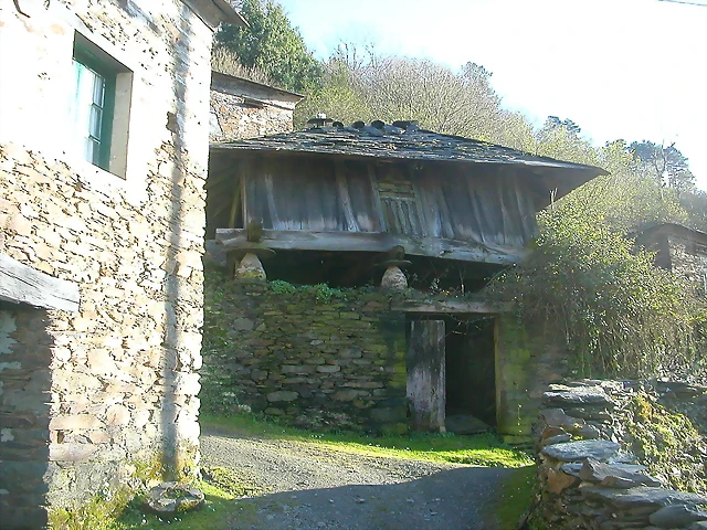 DSCN0451