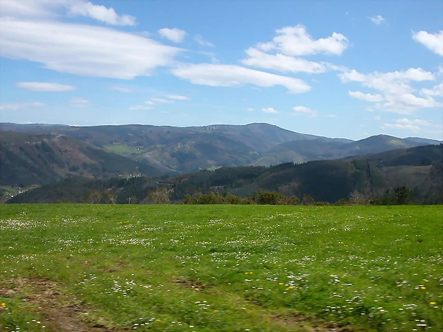 DSCN0217 DSCN0217