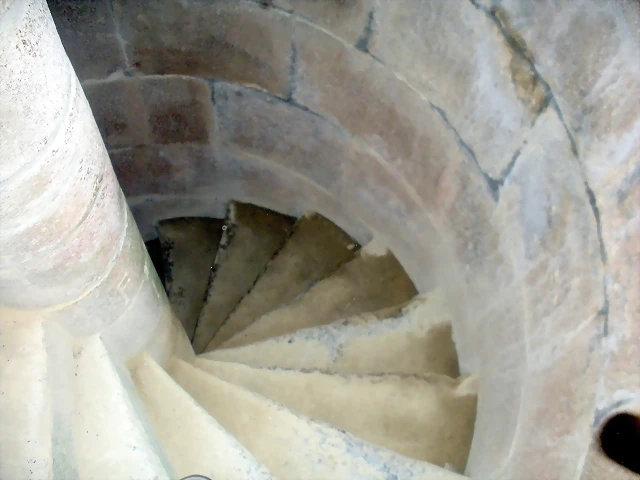 DSCN8318 DSCN8318