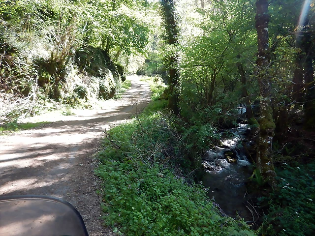 DSCN0066 DSCN0066