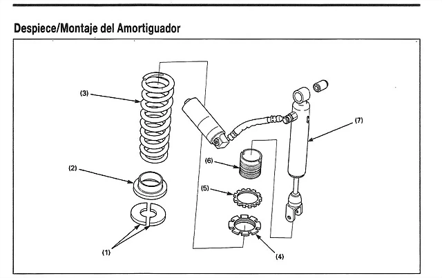 Amort