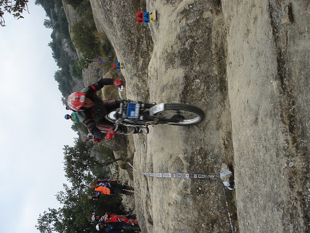 DSC03239 DSC03239