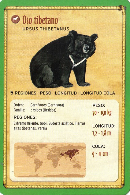 oso tibetano