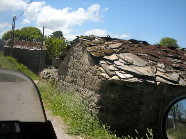 DSCN5395 DSCN5395