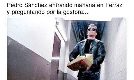 MemesPedroSanchezGanaPrimarias2017-1