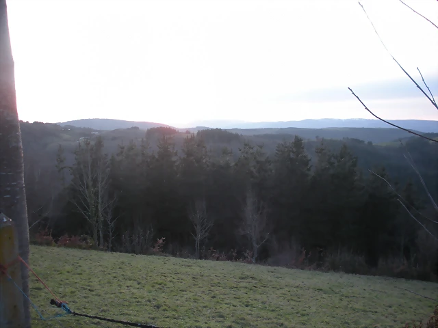 DSCN2595 DSCN2595