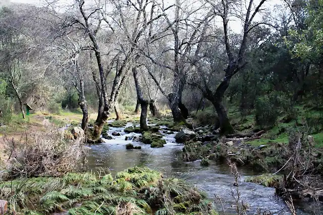 014, vegetacin riberea